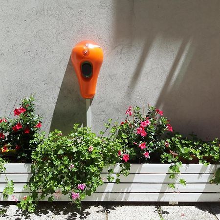 Hotel Felix Ρίμινι Εξωτερικό φωτογραφία