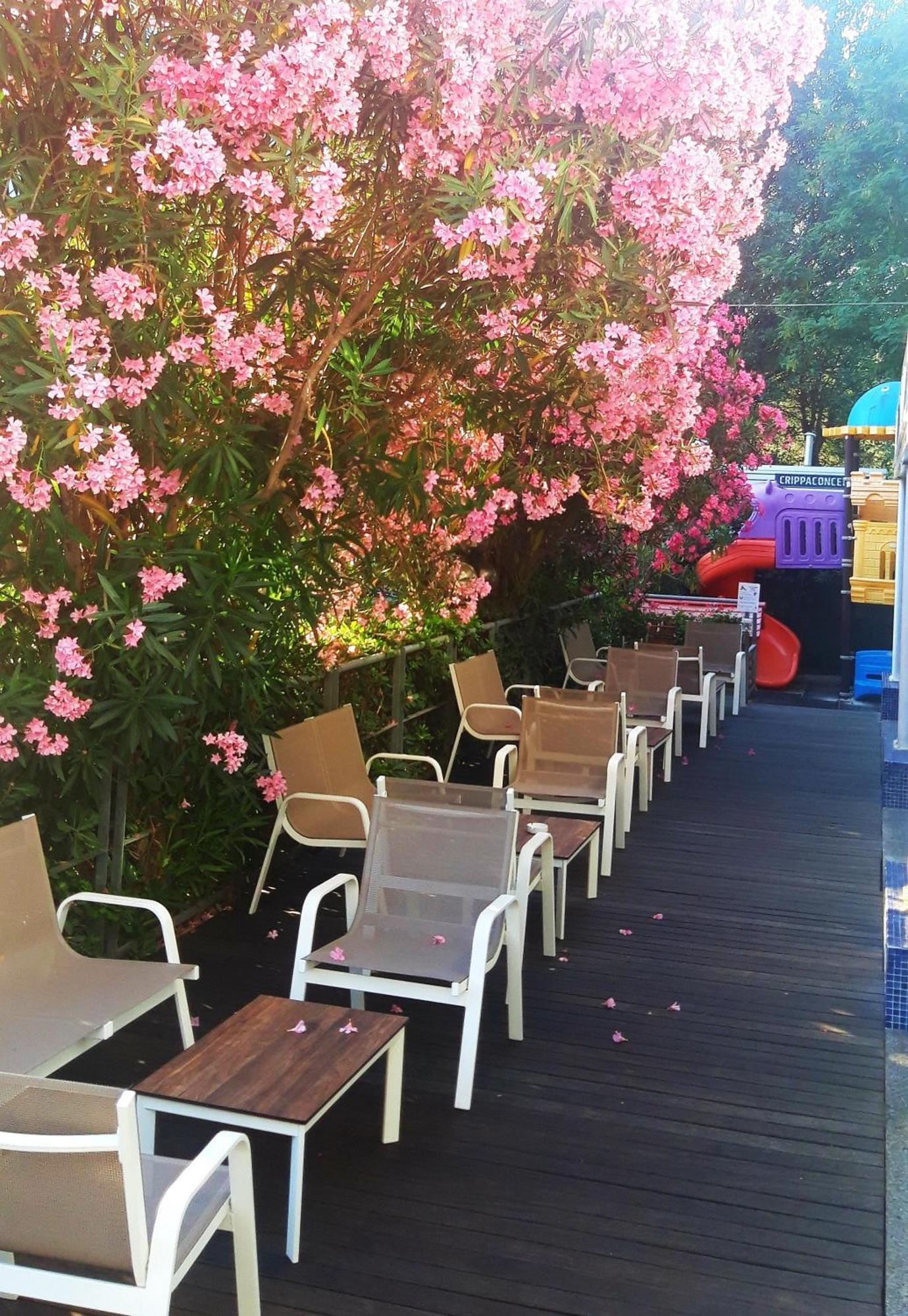 Hotel Felix Ρίμινι Εξωτερικό φωτογραφία